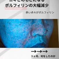 画像337